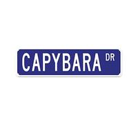 snowsun Metal Sign Capybara DR Vintage Signs Retro Tin Signs Aluminum Sign Gift for Home Kitchen Restaurants Garden Wall Pub Club Decor 4x16 Inch