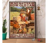 Snowsun Metal Sign No Matter How Old I Am I Still Get Excited Every Time I See A Horse Vintage Tin Sign Funny Signs Wall Decor for Home Garden Bar Outdoor Living Room 8x12 Inches