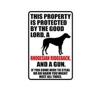 snowsun Metal Sign Warning This Property Is Protected By The Good Lord A Rhodesian Ridgeback Dog And a Gun Sign Retro Sign Vintage Aluminum Tin Sign for Kitchen Coffee Bar Garden Home Bathroom Wall