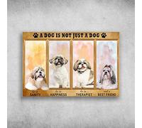 Snowsun Metal Tin Sign Shih Tzu A Dog Is Not Just A Dog Aluminum Vintage Sign tin sign Retro for Home Garden Office Wall Decor 8x12 Inches