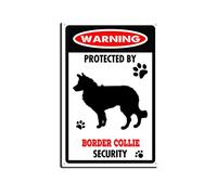 Snowsun Metal Tin Sign Warning Protect By Border Collie Security Aluminum Vintage Sign tin sign Retro for Home Garden Office Wall Decor 8x12 Inches