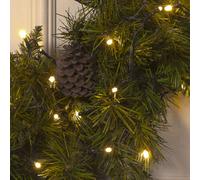 Snowtime 100 Warm White Led Multi-Function Lights With Timer
