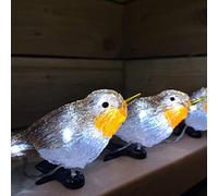 Snowtime 5 Acrylic Robin Lights With Ice White Christmas LEDS with Clip-On