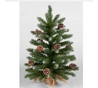 Snowtime 60cm Mini Frosted Norway Tree With 72 Tips and Pine Cones