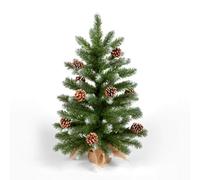 Snowtime 60Cm Mini Frosted Norway Tree With Pine Cones