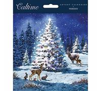 Snowy Christmas Tree Mini Traditional Advent Card, Gift