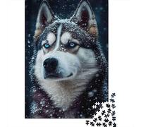 Snowy Husky Portrait Adult Jigsaw Puzzle: Husky with Bright Blue Eyes Educational Game Decompression for Adults Teens & Home Decor 52x38cm/1000pcs