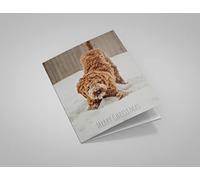 Snowy Labradoodle Merry Christmas Greeting Card 125mm x 178mm Including Envelope GC457