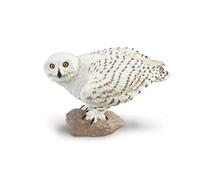 Snowy Owl