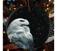 Snowy Owl and Stars Ceramic Christmas Ornaments - 4 Pcs Rustic Round Xma Tree Decor with Hanging String, Personalized Vintage Double-Sided Holiday Party Decorations for Xmas Gifts