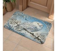 Snowy Owl Cornus Front Door Mat, Heavy Duty Bathroom Rugs Durable Welcome Mat for Outdoor Indoor, Super Absorbent Bath Rugs for Entryway Outside Patio Porch, 40x60cm