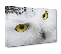 Snowy Owl Eyes Canvas Print | Gallery Wrapped 30mm Frame Wall Art | 24x16 inches | Ready to Hang | Modern Animals Picture | Living Room Bedroom Lounge Office
