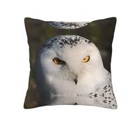Snowy Owl Eyes Print Luxurious Double-Sided Printed Cushion Cover - 100% Polyester - Four Seasons Universal Throw Pillow Cover For Ideal Home Decoration