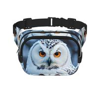Snowy Owl Eyes Print Square Double Layer functionality Waist Bag Unisex Crossbody Pack Travel Workout, Black, One Size