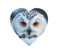 Snowy Owl Eyes Print Strong Refrigerator Magnets Decor Fridge Magnets,For Kitchen Whiteboard Office Locker