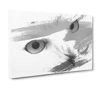 Snowy Owl Eyes V1 Canvas Print | Gallery Wrapped 30mm Frame Wall Art | 20x14 inches | Ready to Hang | Modern Animals Picture | Living Room Bedroom Lounge Office