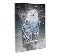 Snowy Owl On A Perch Canvas Print | Gallery Wrapped 30mm Frame Wall Art | 20x14 inches | Ready to Hang | Modern Animals Picture | Living Room Bedroom Lounge Office