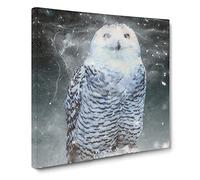 Snowy Owl on a Perch Modern Canvas Wall Art Print Ready to Hang, Framed Picture for Living Room Bedroom Home Office Décor, 14x14 Inch (35x35 cm)