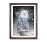 Snowy Owl On A Perch Modern Framed Wall Art Print, Ready to Hang Picture for Living Room Bedroom Home Office Décor, Walnut A4 (34 x 25 cm)