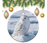Snowy Owl on The Ice Ceramic Christmas Ornaments 3 Inch Vintage Hanging Baubles with Gold String for Xmas Tree Decorations Holiday Party Yard Garden Home Decor Festive Keepsake Gift Exchange