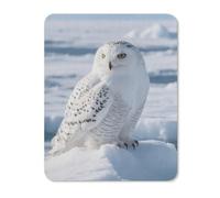 Snowy Owl on The Ice Square Mouse Pad