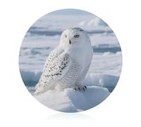Snowy Owl on The Ice Tempered Glass Cutting Board Sturdy Chopping Block Personalized Large Butcher Block Lightweight Round Chopping Mat for Kitchen Non Slip