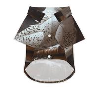 Snowy Owl Perched On Books