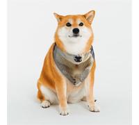 Snowy Running Bear Dog Bandana for Small Medium Large Dogs, Cat Dogs Kerchief Triangle Bibs Scarf for Girl Or Boy