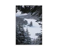 Snowy Scenery in Quebec Winter Wonderland Poster Decorative Painting Canvas Wall Posters And Art Picture Print Modern Family Bedroom Decor Posters 20x30inch(50x75cm)