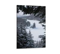 Snowy Scenery in Quebec Winter Wonderland Poster Decorative Painting Canvas Wall Posters And Art Picture Print Modern Family Bedroom Decor Posters 12x18inch(30x45cm)
