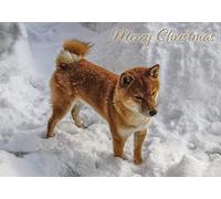 Snowy Shiba Inu Dog Pack of 5 Merry Christmas Greeting Cards 125mm x 178mm Including Envelope GC454PCK5
