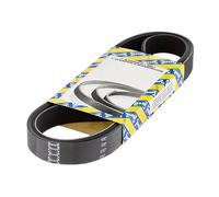 SNR CA5PK1138 Serpentine belt