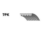 VRIBBED BELT CA7PK2711 FOR FORD TRANSIT/Platform/Chassis/Van/Bus H9FB 2.4L 4cyl