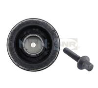 SNR DPF350.01K1 Belt Pulley, crankshaft for BMW