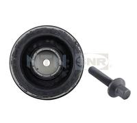 SNR DPF350.01K1 Belt Pulley, crankshaft for BMW