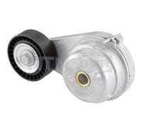 SNR GA351.42 Tensioner pulley