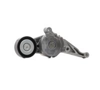 SNR GA357.23 Tensioner pulley