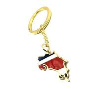 SNS Components Costa Rica Central America Gold Country Map Flag Key Ring Chain Metal Enamel Keyring
