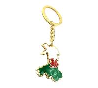 SNS Components Wales Welsh Map Outline Cymru Red Dragon United Kingdom Gold Country Flag Key Ring Chain Metal Enamel Keyring