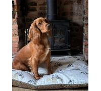 Snug and Cosy Pets Farmyard Cream Lounger - 90 x 60 CM