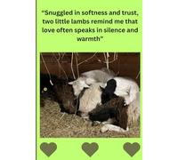 “Snuggled in softness and trust, two little lambs remind me that love often speaks in silence and warmth”: Cozy Journal for Sheep Lovers, Farm Moments, and Woolly Reflections