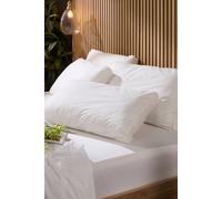 Snuggledown 2 Pack Hotel Luxurious Back Sleeper Medium Support Pillow In White White