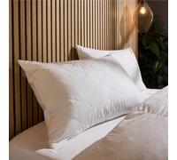 Snuggledown Luxury Cotton Quilted Pillows 2 Pack - Hotel Quality UK-Made Bouncy Back & Side Sleeper Pillow for Neck & Shoulder Pain Relief - Soft & Comfortable, Non-Allergenic, Washable (48 x 74cm)