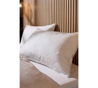 Snuggledown Luxury Cotton Quilted Pillow, Firm Support, 2 Pack In White White One Size