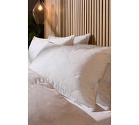 Snuggledown Luxury Cotton Quilted Pillow, Firm Support, 4 Pack In White White One Size