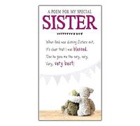 Snuggly Bumpkins Sister Birthday Card, A Poem for my Special Sister, Multi-Coloured