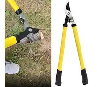 So Branch Cutter with Telescopic & Steel Bypass Shears for Pruning Shrubs and Branches in Your Garden