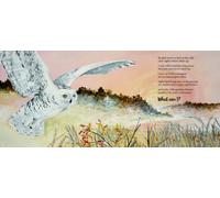 So Imagine Me : Nature Riddles in Poetry