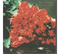 So Many Men So Little Time