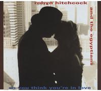 SO YOU THINK YOU'RE IN LOVE CD UK GO BEAT 1992